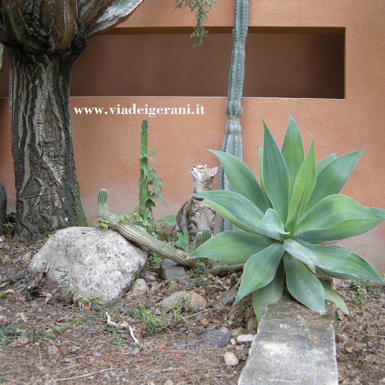 Via Dei Gerani B&B Sinnai Екстер'єр фото